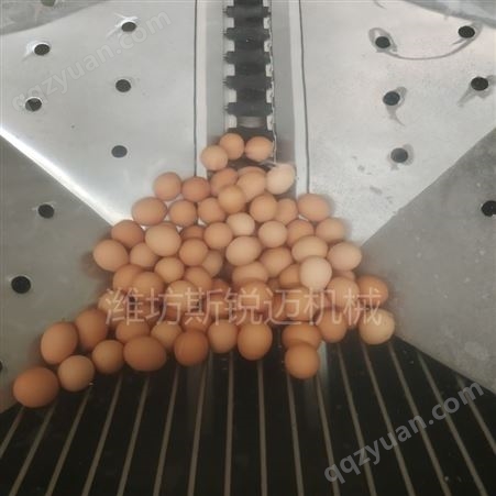 清洗咸鸭蛋机器 斯锐迈SRM-600-Ⅰ型 黄泥蛋清洗机 鲜鸭蛋洗蛋机