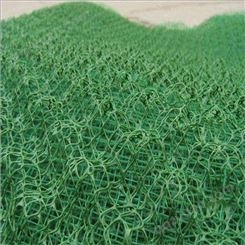 厂家生产销售三维网垫 公路铁路路堤固土植草 三维植被网
