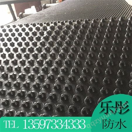 排水板 广西柳州 塑料排水板质量好价格优