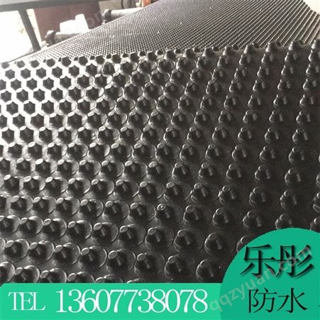 广西桂林质量好的排水板大量批发中