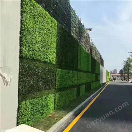 仿真绿植墙养护