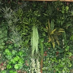 立体生态植物墙定制
