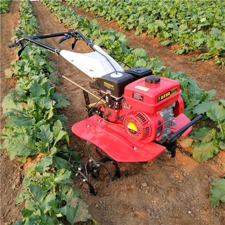 自走式旋耕机 小型果园开沟施肥机