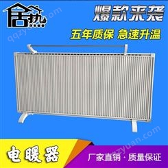 壁挂式电暖器 电暖器订制 电暖器 生产厂家 聚热电器