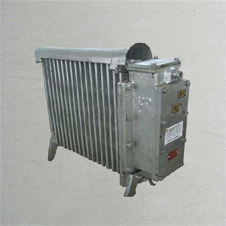 矿用防爆取暖器 127V本安型电暖器 升温快 井下用安全