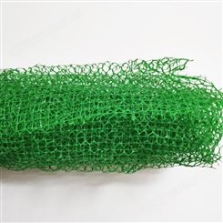 重庆三维植被网厂家 EM5三维土工网 长期供应生产 鲁创土工