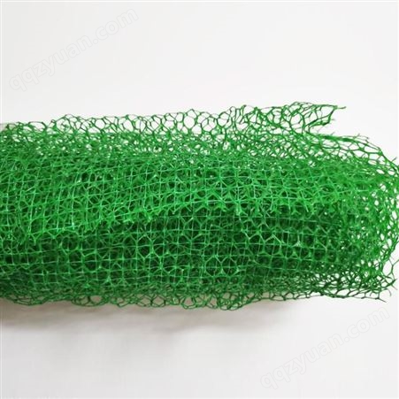 绿色三维植被网 塑料三维植被网 诚信经营鲁创土工