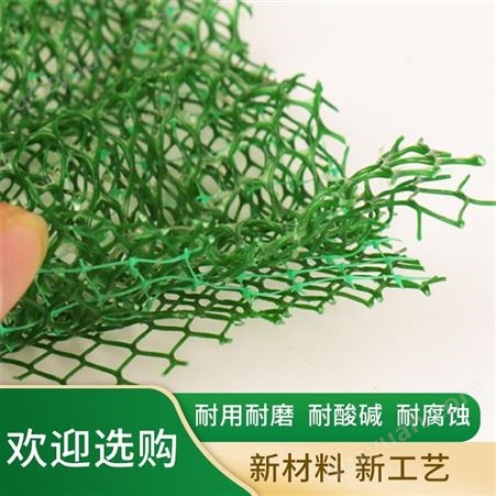 绿色三维植被网 塑料三维植被网 诚信经营鲁创土工