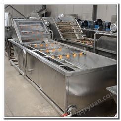 桃子番薯柚子清洗设备 果蔬臭氧清洗线 山楂蓝莓粽叶清洗机