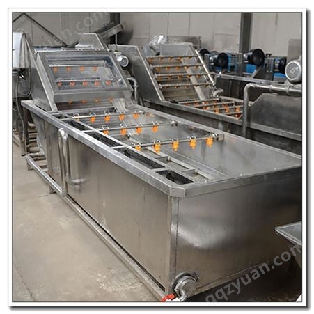 桃子番薯柚子清洗设备 果蔬臭氧清洗线 山楂蓝莓粽叶清洗机