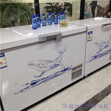 御隆厨房 杭州商超用雪糕冰柜海鲜保鲜冷藏柜 冷冻冷藏冰箱