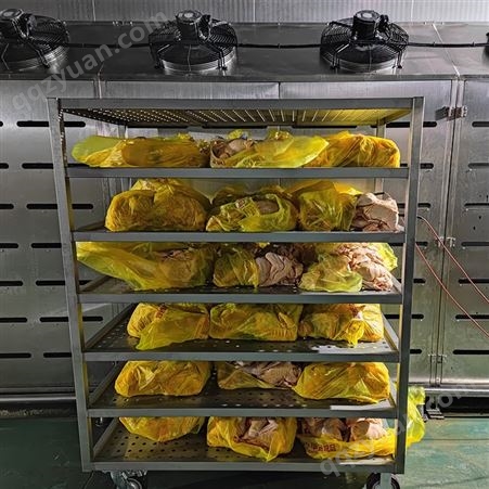 万疆 冻牛肉低温高湿解冻机 全自动肉类解冻设备 大块猪肉缓化机