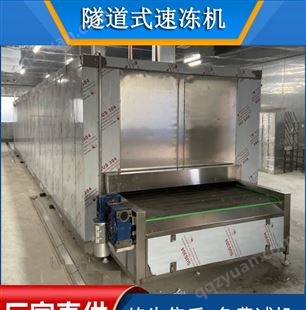 水饺包子网带式速冻隧道机 鲅鱼速冻机 面食液氮速冻机