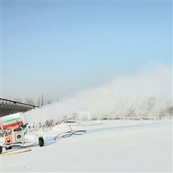 小型造雪机 各种场景场地不受限使用 人工造雪机 自动造雪机 造雪机厂家