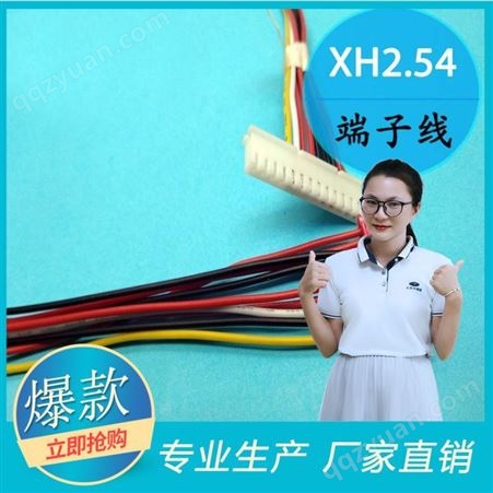 端子线束加工 生产厂家XH2.54间距智能教育机器人大电流线束加工