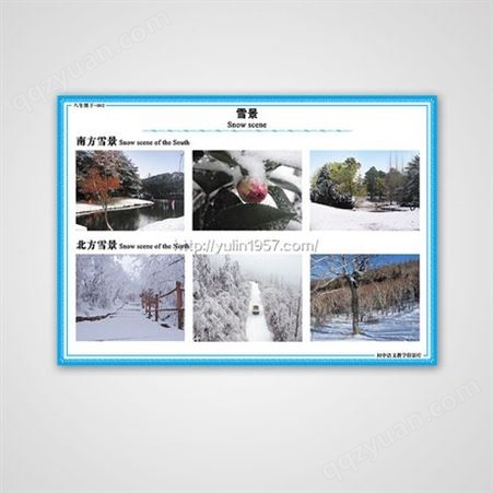 供应初中语文教学投影片厂家 全套150片 雨林投影片