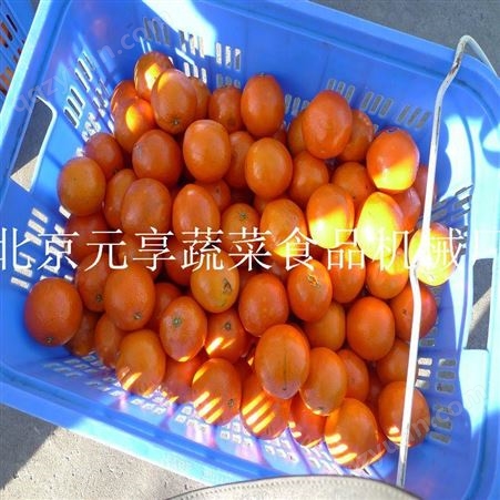 北京水果榨汁机-果蔬榨汁机价格-元享机械