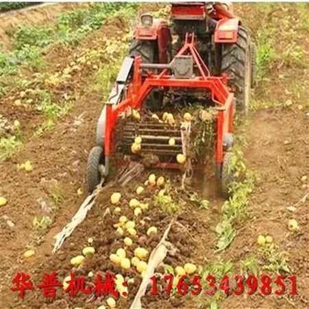 收地瓜机 挖地瓜机 马铃薯收获机 挖土豆机 土豆收获机 红薯收获机