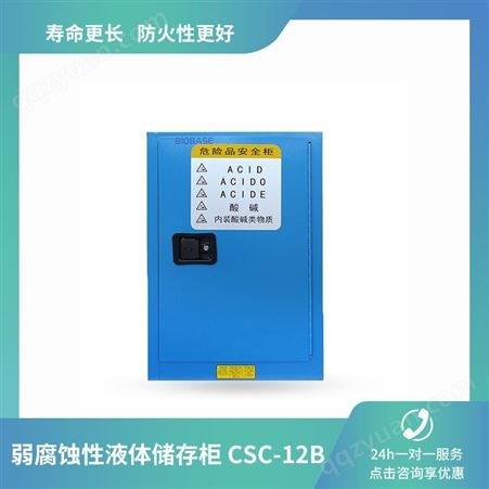 博科  CSC-12B弱腐蚀性液体储存柜 4-90加仑可选化学品存储柜