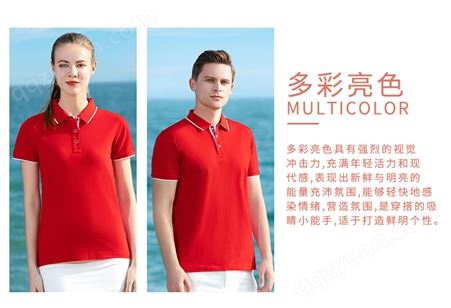 北京Polo衫定制纯棉夏季新款简约百搭翻领透气短袖T恤定做