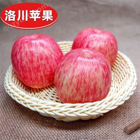 红富士苹果礼盒8斤装 过节送礼礼盒装 甜脆多汁红富士苹果