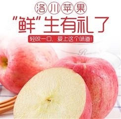 红富士苹果礼盒8斤装 过节送礼礼盒装 甜脆多汁红富士苹果