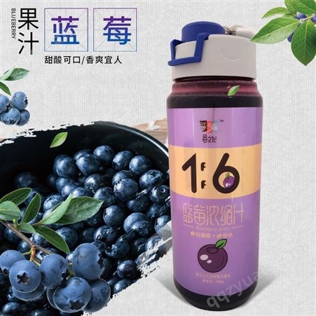 花青健冲调蓝莓汁瓶装 黑龙江美味饮品