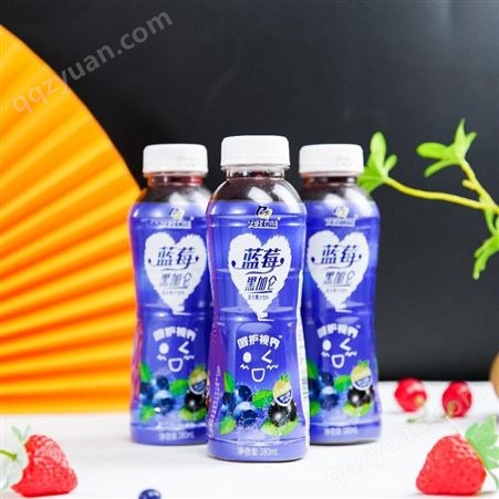 龙江蓝牌蓝莓汁饮料 黑加仑汁饮料 果汁饮料招代理