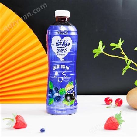 龙江蓝品牌 蓝莓汁饮料1.25L 黑加仑汁饮料 复合果汁饮料 源头工厂诚招全国代理商