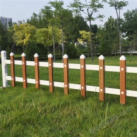塑钢草坪围栏西安 阳泉市政花池护栏 和平绿化围栏生产厂家 金彦 实体厂家