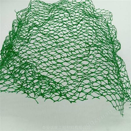 绍兴EM4三维植被网垫 高速护坡三维绿化土工网 诺联优选三维网