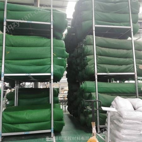 新乡山体防护绿色喷播植草网 绿色5层三维植被网定制生产