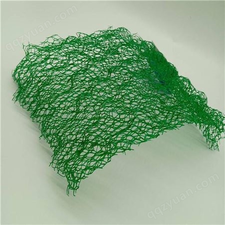 边坡固定HDPE三维植被网 护坡绿化减少冲蚀三维土工网垫