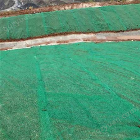 新乡山体防护绿色喷播植草网 绿色5层三维植被网定制生产