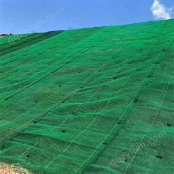 湛江护坡塑料三维网 山体复绿植草网厂家 诺联