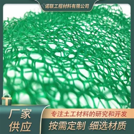 EM3三维植被网 三维植被网垫 三维绿化网 诺联生产供应