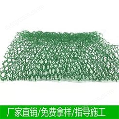厂家生产 三维植被网 边坡固土工网垫 三维植草网em3诺联