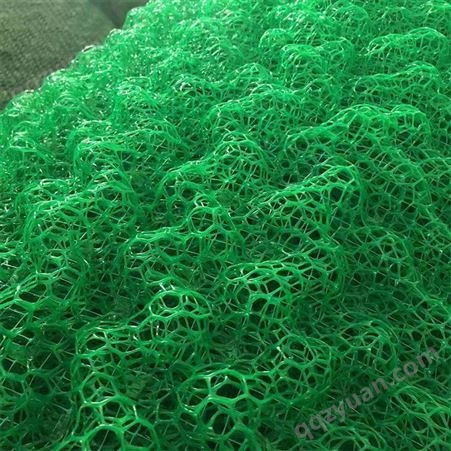 贵阳绿化植草网 双层三维植被网规格齐全