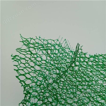 湖南永州市道县绿化三维植被网厂家 铁路护坡三维植被网每平方单价