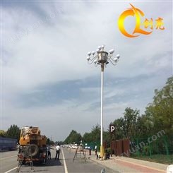 厂家定制8米-15米中华玉兰灯 户外广场市政道路大型工程LED景观灯
