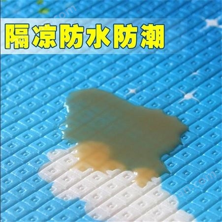 香港 地垫加工现货供应可定做 盛太塑胶厂家批发防尘地垫
