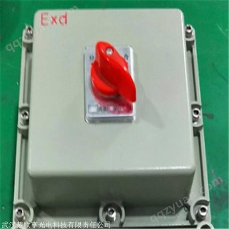 BXQ防爆磁力起动器 低压配电箱 防爆控制箱定做