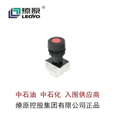 防爆配电箱-防爆LED灯-BZA8050系列防爆防腐控制按钮(II)