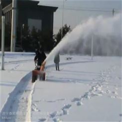 雷创除雪机 手推式扫雪机 抛雪机 清理道路积雪厂家供应